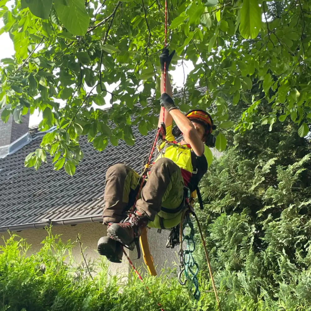 Kletterarbeiten